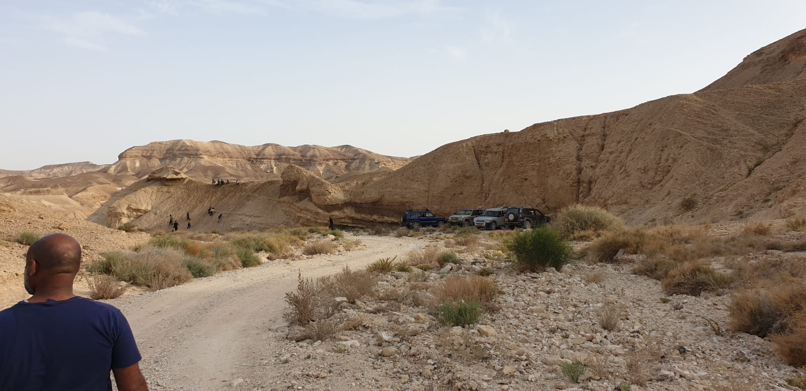 WhatsApp Image 2019-04-13 at 10.30.40 PM.jpeg.jpeg